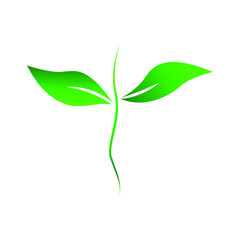 Stem and leaf logo template element