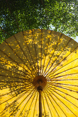 Abstract silhouette of leaves and branches peeking through under a large umbrella.