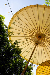 Abstract silhouette of leaves and branches peeking through under a large umbrella.