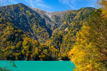 黄色と青のコントラスト