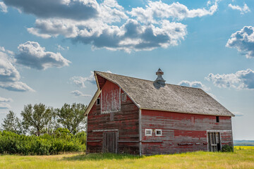 Obraz premium An abandoned vintage red barn on the prairies in Saskatchewan with a canola field in the background