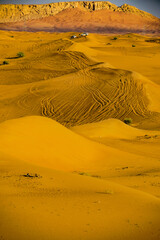 Fototapeta na wymiar ドバイのアラビア砂漠