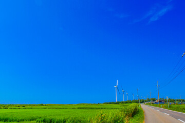Fototapeta na wymiar たくさんの風力発電所（再生可能エネルギー）