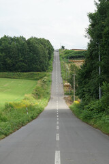北海道の長い道と自然