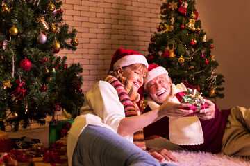 Senior caucasian couple celebrating Christmas together in happiness and excitement at home with red Santa hat and christmas tree