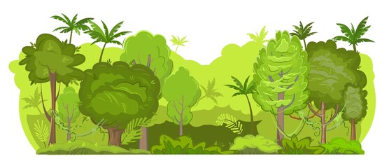 Obraz premium Light Jungle background. Plants rainforest. Isolated on white background. Beautiful green landscape with exotic trees and palms. Cute cartoon style. Vector.