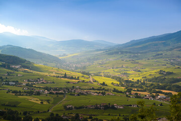 Fototapeta na wymiar Landscape of vineyards, Beaujolais