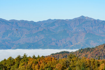 Naklejka premium 朝日連峰と白鷹町 広がる雲海 