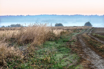 Field after harvesting near Kiev, Ukraine. Early in the morning there is fog over the field. Rural landscape with bright colors at sunrise.