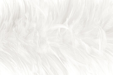 white feather wooly pattern texture background