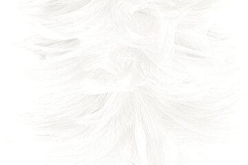 white feather wooly pattern texture background