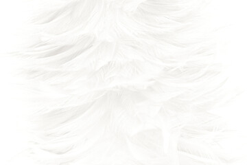 Fototapeta na wymiar white feather wooly pattern texture background