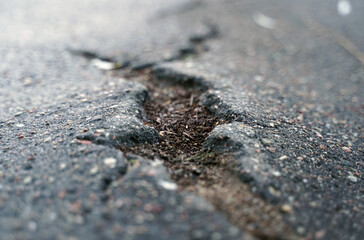 Cracked asphalt texture. View from above. Close-up