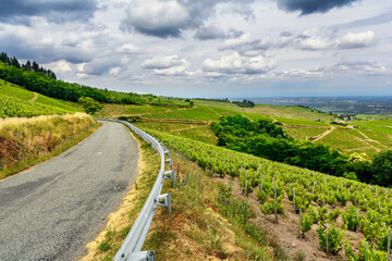 Naklejka premium Road of wine, Beaujolais, France