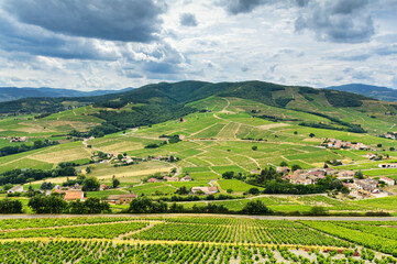 Mountains and vineyards of Beaujolais, France