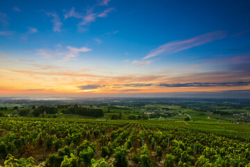 Sunrise at Beaujolais vineyard