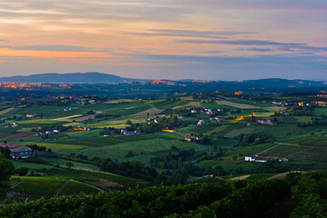 Morning lights at Beaujolais vineyards