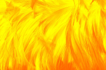 yellow feather texture pattern background