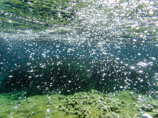 Air bubbles in the water background.Abstract oxygen bubbles in sea.Water bubbles isolate on black background.Black and white tone style, Air bubbles underwater rising to water surface, natural scene.