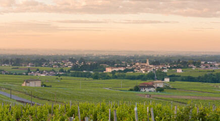 Fototapeta na wymiar View of the village of Moulin-A-Vent - Beaujolais