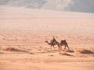 Arab bedouin man riding a camel in the desert of Wadi Rum, Jordan.