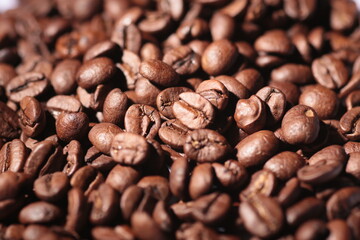 coffee beans close-up with hard lighting