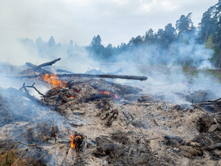 open fire, smoke and coals on the background of the forest