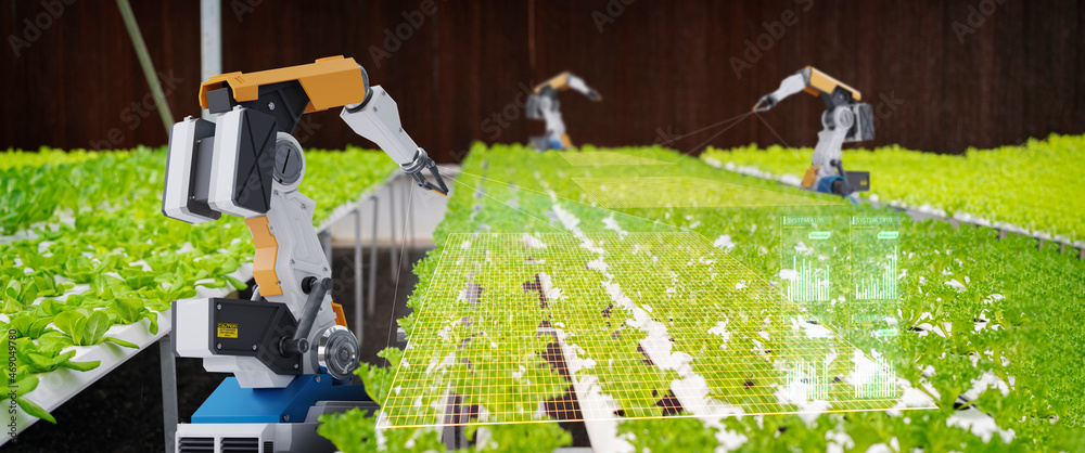 Wall mural 3d robot and robot arms in agricultural industry robotics solutions technology revolution, robot wee - Wall murals