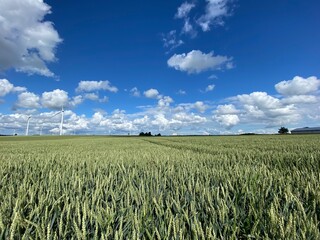 Schwäbische Alb bei Böhmenkirch in der nähe von Ulm Schwäbisch Gmünd Geislingen Aalen Heidenheim - Windrad Windkraftanlage