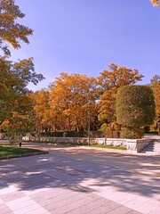 autumn in the park