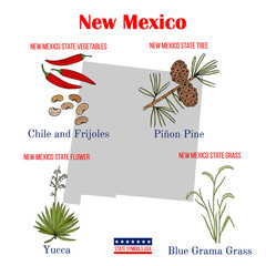 New Mexico. Set of USA official state symbols. - obrazy, fototapety, plakaty