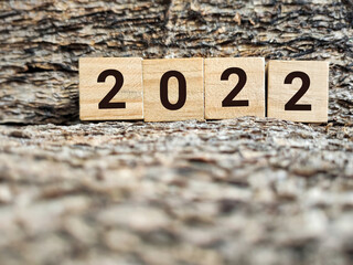 Financial Concept - 2022 text background. Stock photo.