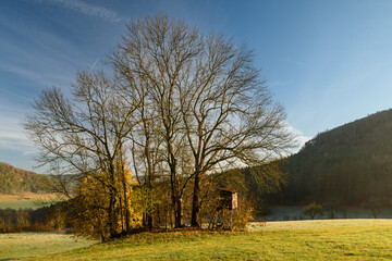 Thüringen mit Hügeln und Bäumen  im Herbst
