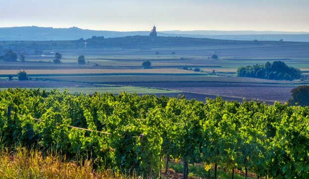 Lower Austria Landscape Wine District near Eggenburg