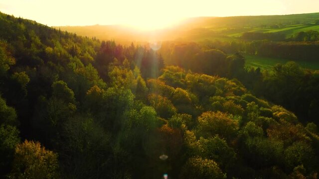Aerial footage of Autumn Sunset in Glenarm Forest Ireland 