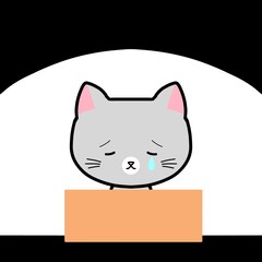 段ボールに入った猫さん