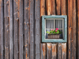 Window in the wall and potted flowers. Vintage interior and exterior design of a house. Wooden walls made of boards. Large resolution photo for design.