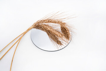 rye spikelets on a white background