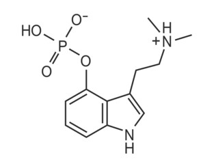 Psilocybin chemical formula, vectoral structure of molecule - obrazy, fototapety, plakaty