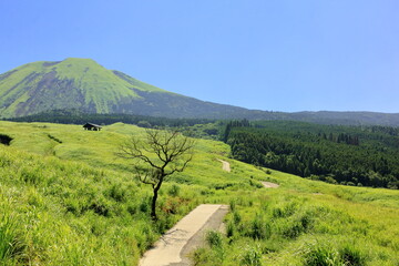 高原と遊歩道