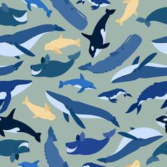 Seamless pattern of whales. Beluga, killer whale, humpback whale, cachalot, blue whale, dolphin, bowhead, southern right whale, sperm hale. Underwater world, Marine. 