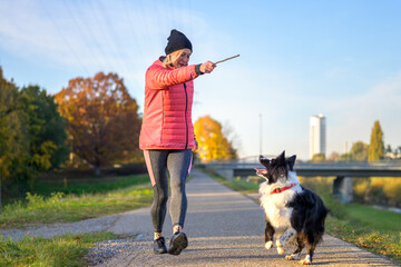 Woman playing fetch with her Border Collie throwing a stick