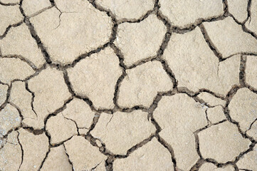 dry cracked earth