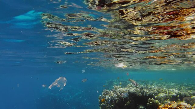 garbage in the sea. Plastic pollution of the sea. used, plastic bags slowly drifting over the coral reef, underwater, in the sun lights. Plastic garbage environmental pollution problem