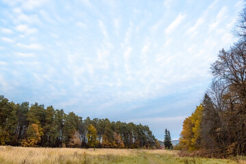 Obraz premium Spindrift clouds over golden autum field and forest