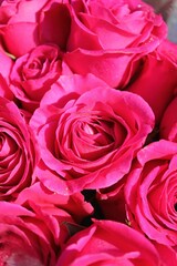 Fototapeta premium bouquet of roses
