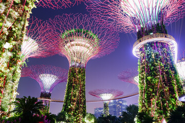 Garden by the Bay, Super tree garden at night