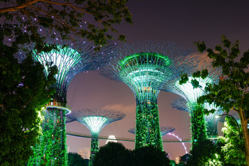 Singapore Garden by the Bay, Super tree garden at night