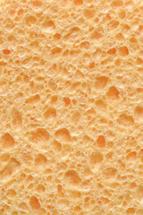 Natural sponge porous surface