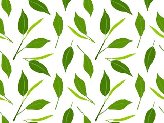 Tea leaves seamless pattern. Green fresh leaves isolated on white background. Tea twigs. Botanical vector illustration for wallpaper, wrapping, packing, textile, scrapbooking.